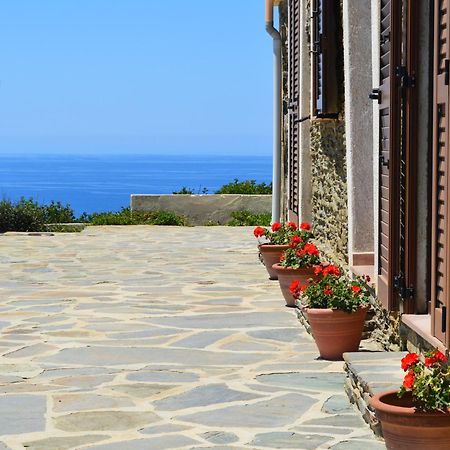 Agriturismo Finagliosu Palmadula Buitenkant foto