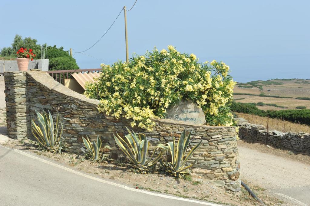 Agriturismo Finagliosu Palmadula Buitenkant foto